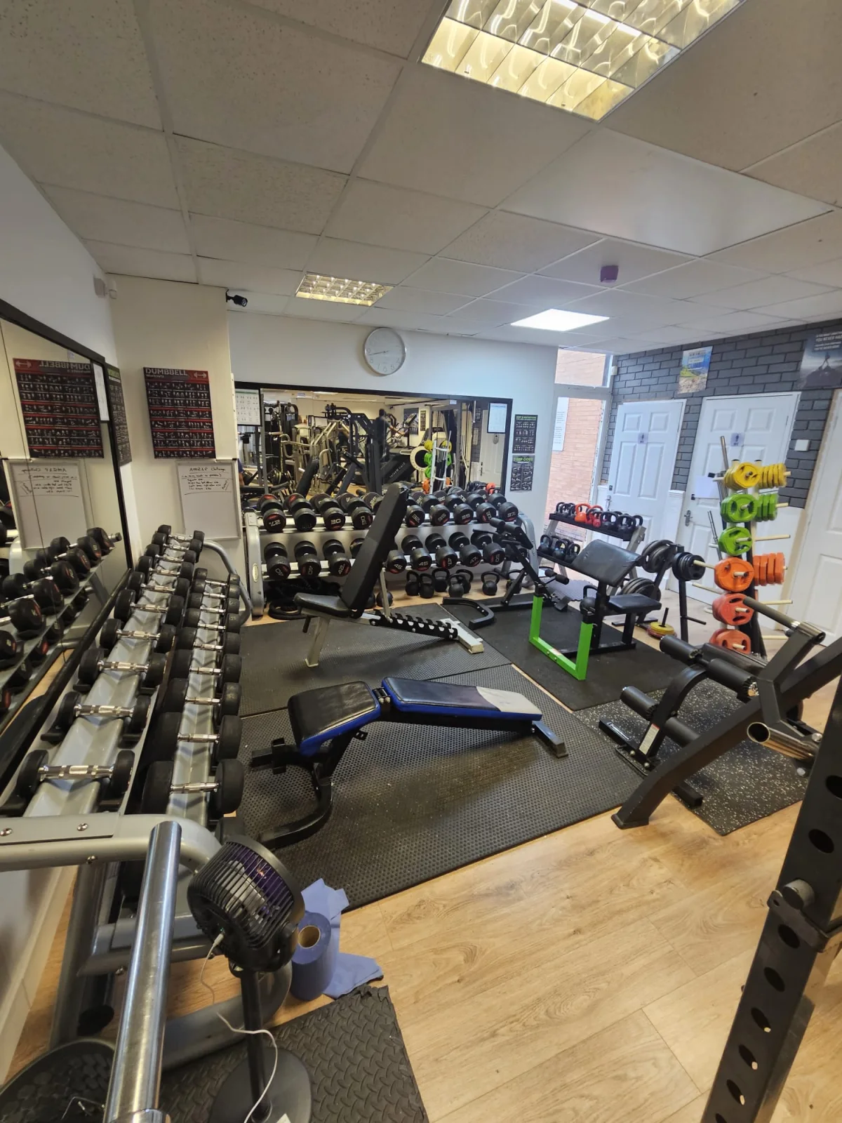 Dumbbells, benches and free weights in the SY1 Fitness strength zone